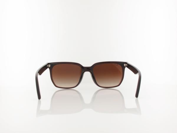 Ray Ban | RB4466D 714/13  | transparent dark brown / brown gradient
