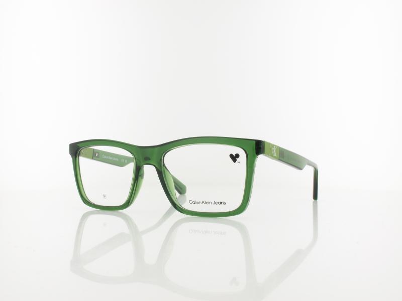 Calvin Klein | CKJ23649 300 53 | green
