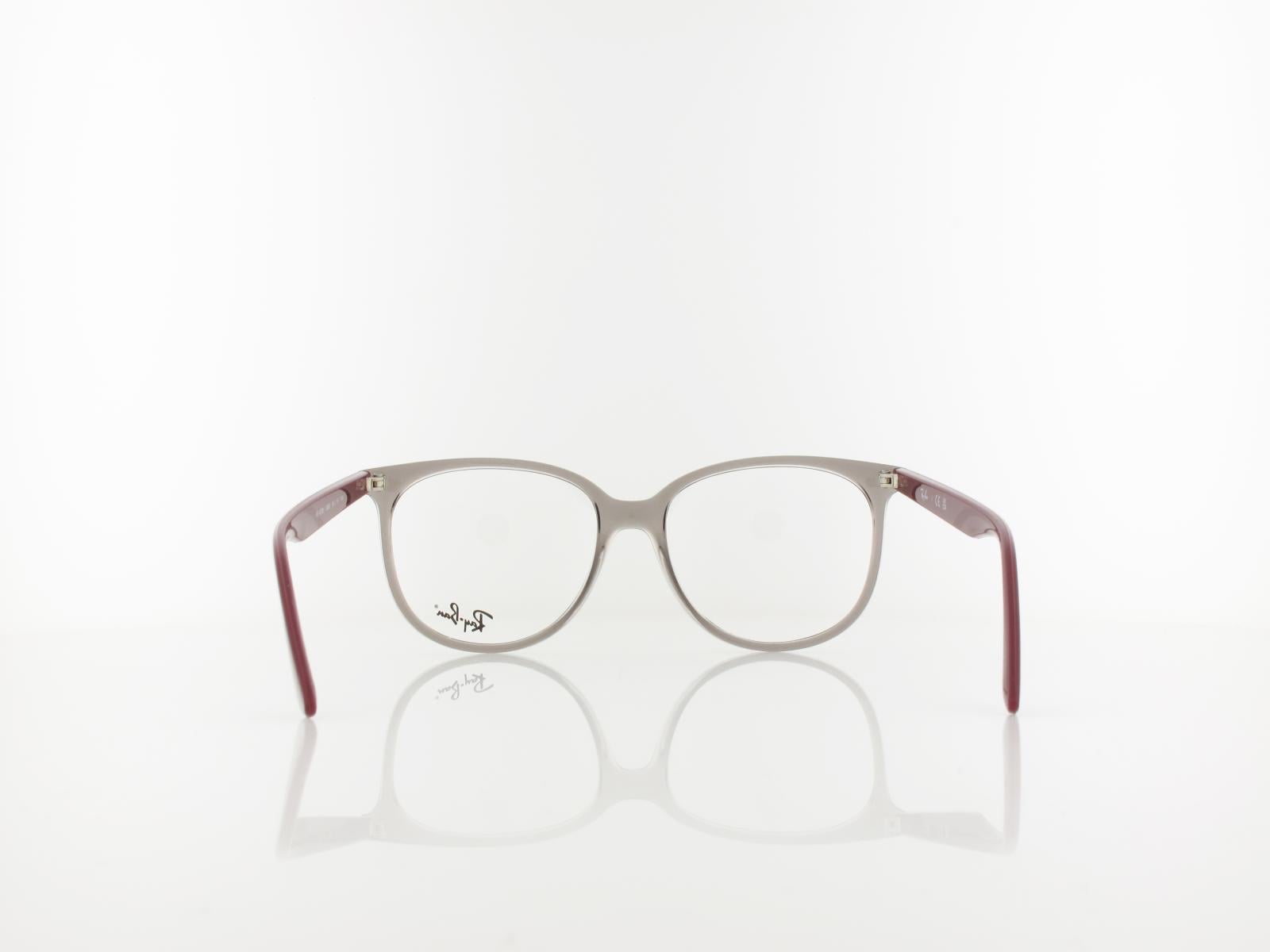 Ray Ban | RX4378V 8083 54 | transparent grey