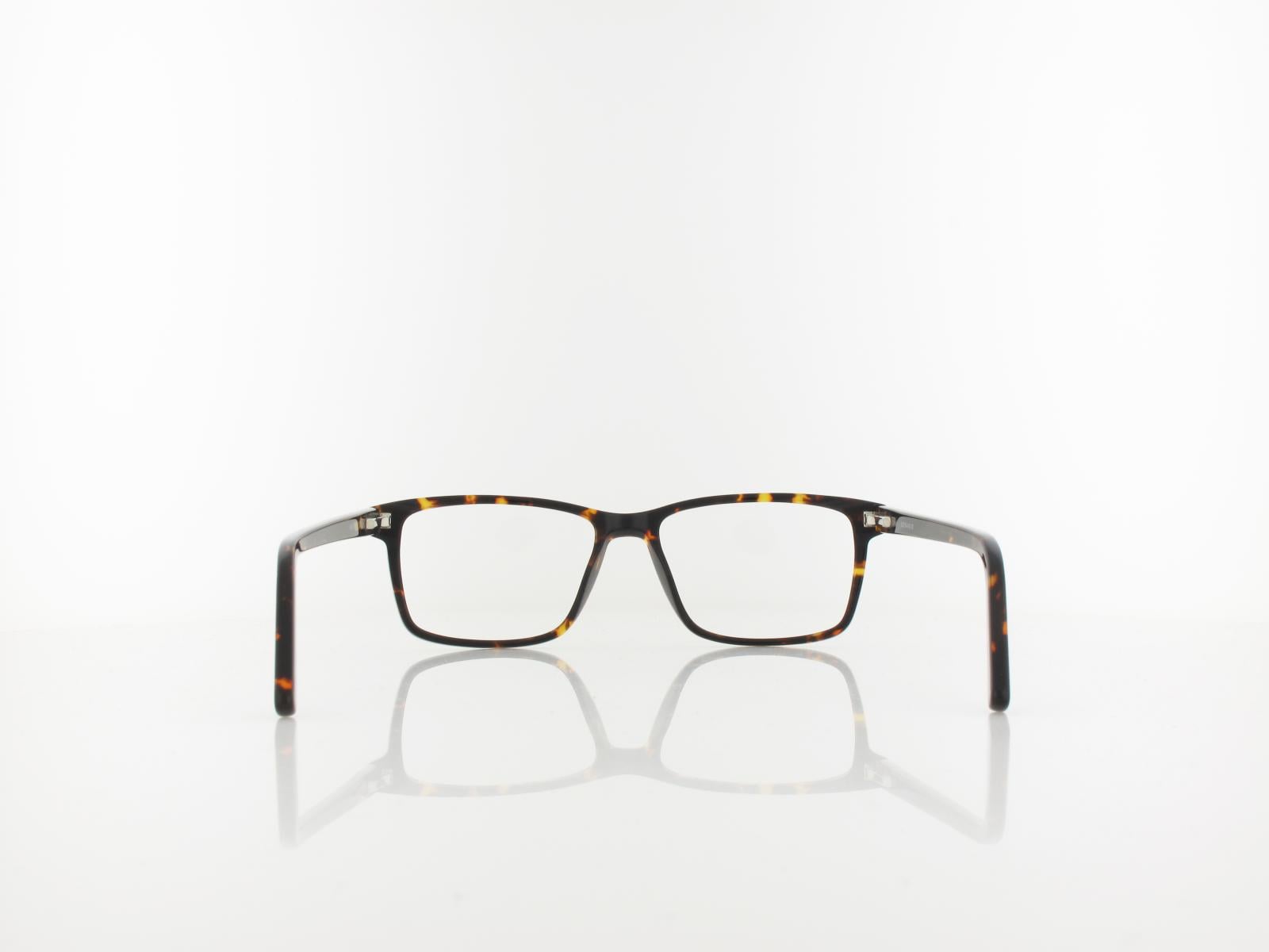 Brilando | A93 A 53 | turtle brown