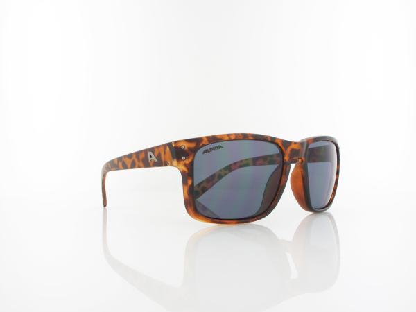 ALPINA | KOSMIC A8570 491 56 | havana matt / black