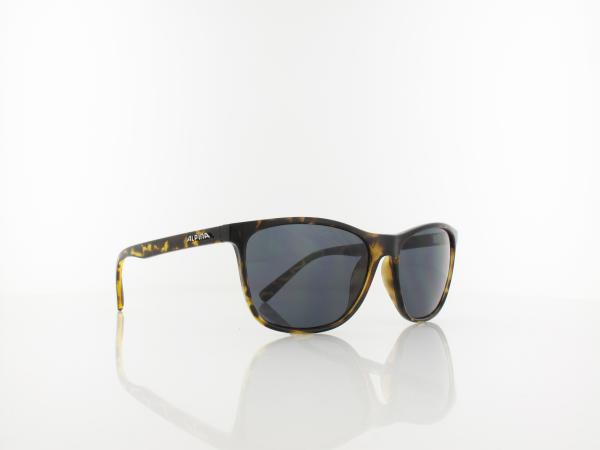 ALPINA | Jaida A8619 491 55 | havana gloss / black