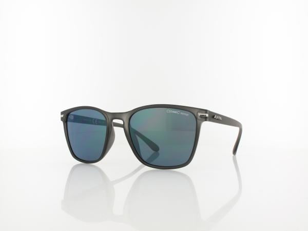 ALPINA | Yefe A8647 321 54 | grey transparent matt / gold mirror