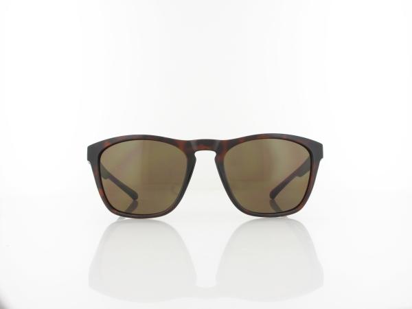 ALPINA | GLEAM A8758 491 54 | havana / brown