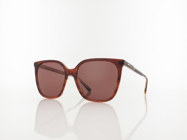 Calvin Klein | CK24509S 203 56 | striped brown/rose / brown