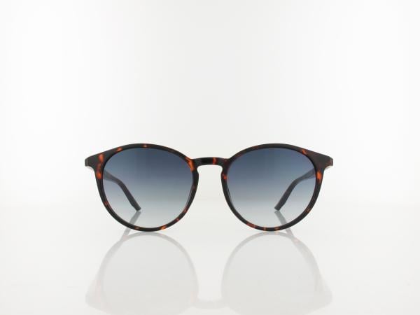 Calvin Klein | CK24539S 235 53 | dark havana / blue gradient
