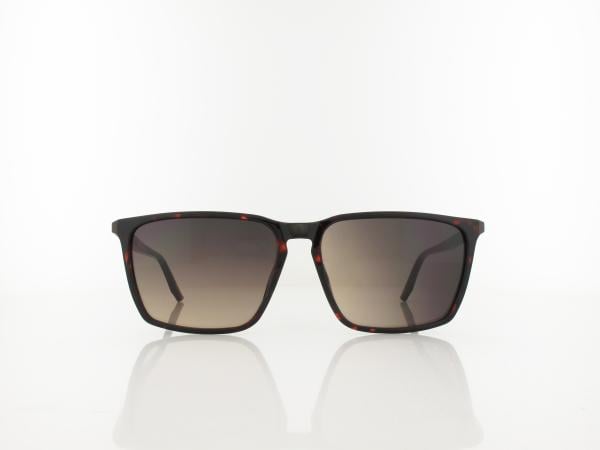 Calvin Klein | CK25505S 240 58 | havana / grey gradient
