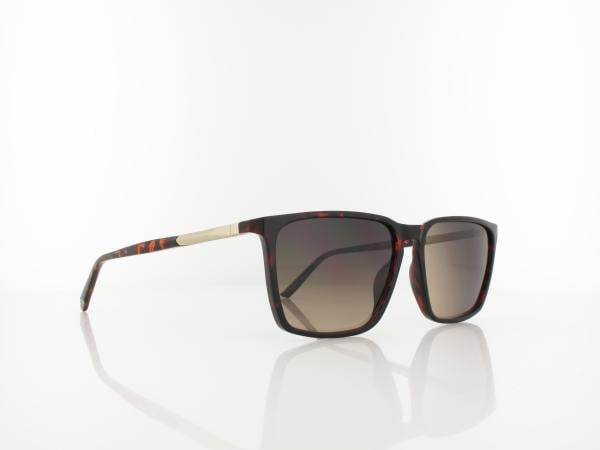Calvin Klein | CK25505S 240 58 | havana / grey gradient