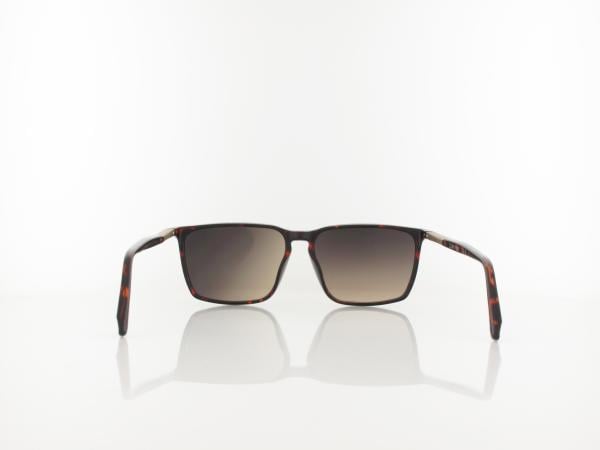 Calvin Klein | CK25505S 240 58 | havana / grey gradient