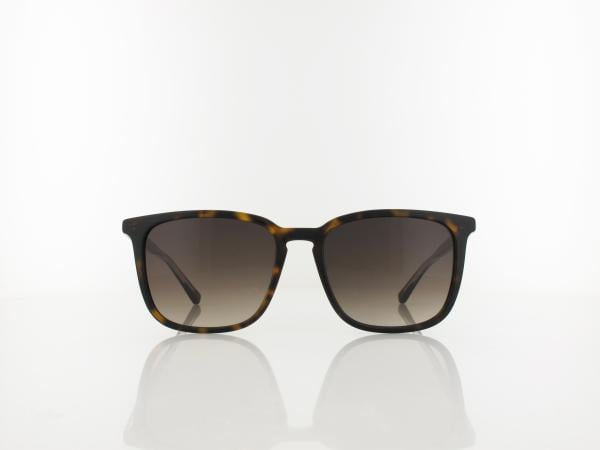 Calvin Klein | CK25507S 235 54 | dark havana / brown gradient