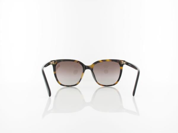 Fossil | FOS 2094/G/S 086/HA 53 | dark havana / brown gradient