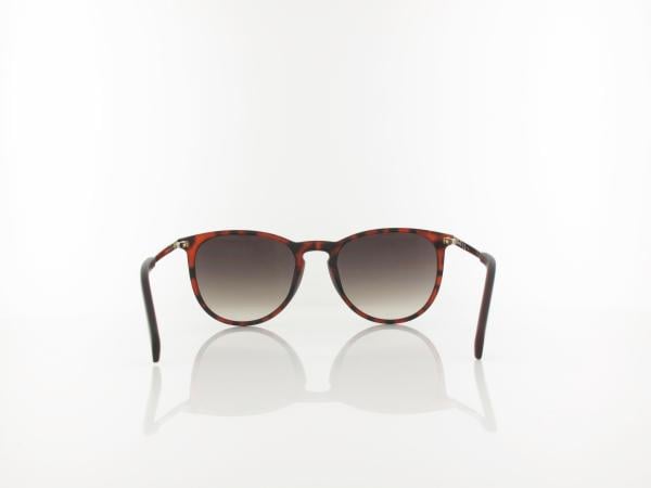Fossil | FOS 3078/S 086/HA 53 | havana / brown gradient