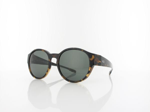 HIS polarized | HPS09100-6 53 | havanna / green polarized