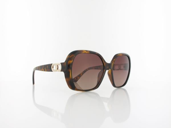 HIS polarized | HPS48101-2 55 | havanna / brown gradient polarized