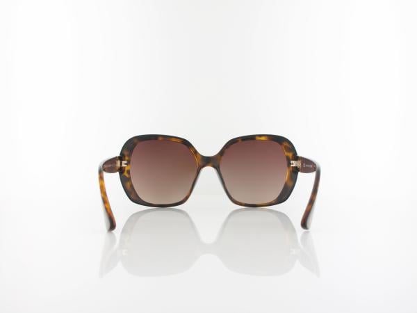 HIS polarized | HPS48101-2 55 | havanna / brown gradient polarized