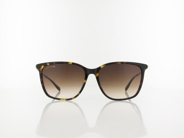 Lacoste | L6016S 230 57 | dark havana / brown gradient