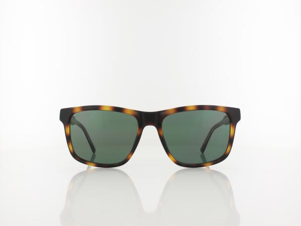 Lacoste | L6025S 214 56 | havana / green