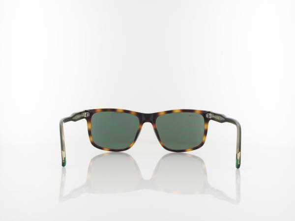 Lacoste | L6025S 214 56 | havana / green