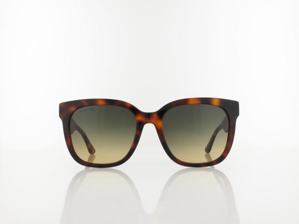 Lacoste | L970S 230 55 | havana / gradient smoke honey