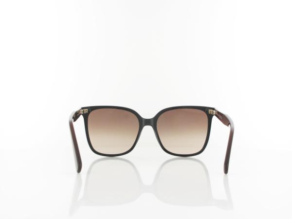 Longchamp | LO807S 001 55 | black / brown gradient