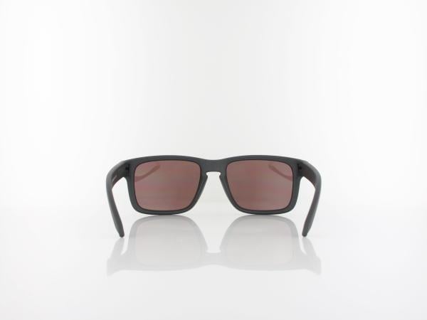 Oakley | Holbrook OO9102 B5 55 | steel / prizm daily polarized