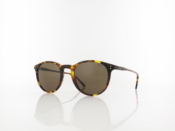 Polo Ralph Lauren | PH4110 513473 50 | shiny antique havana / brown