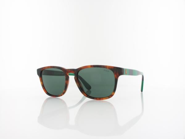 Polo Ralph Lauren | PH4170 501771 53 | shiny jerry tortoise / green