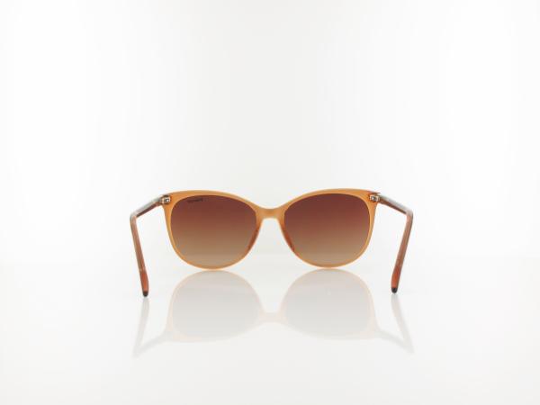 Polaroid | PLD 4200/S/X HAM/LA 56 | champagne / brown gradient polarized