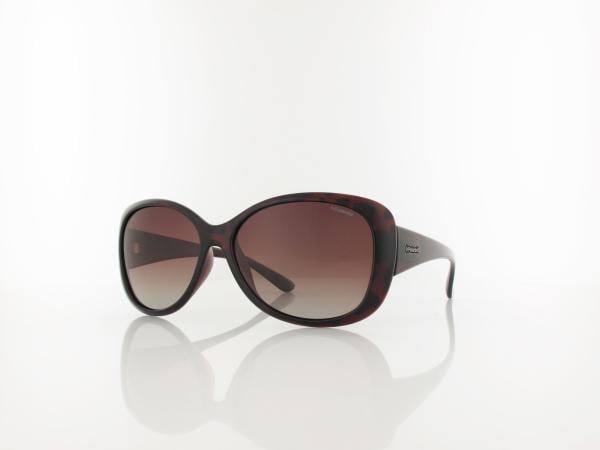 Polaroid | P8317 0BM/LA 58 | havana / brown gradient polarized