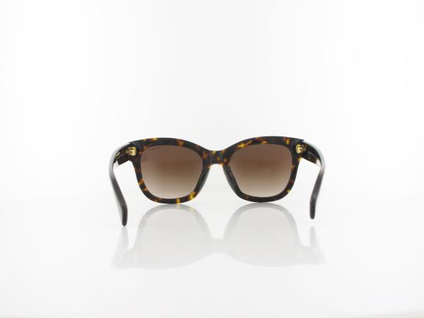 Ralph | RA5301U 500313 52 | shiny dark havana / light brown gradient dark brow