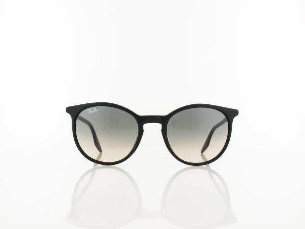 Ray Ban | RB2204 90132 51 | black / clear gradient grey