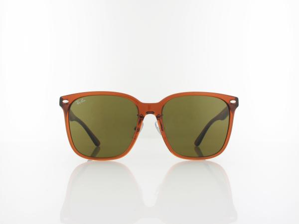 Ray Ban | RB2206D 663673 57 | transparent brown / dark brown