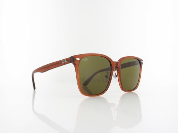 Ray Ban | RB2206D 663673 57 | transparent brown / dark brown