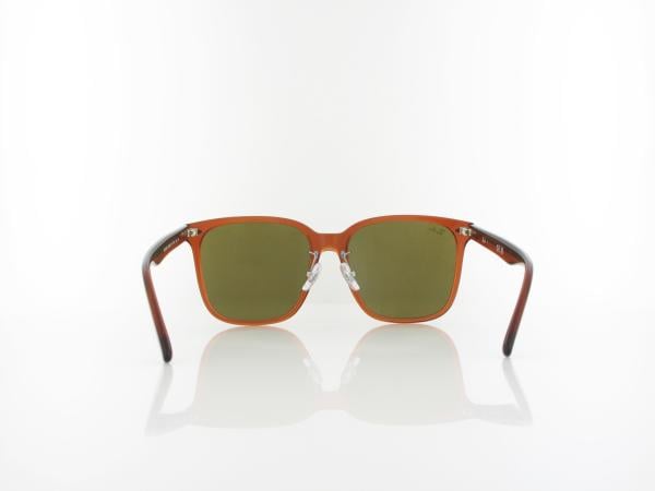 Ray Ban | RB2206D 663673 57 | transparent brown / dark brown