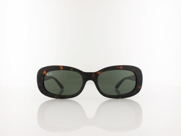 Ray Ban | RB2221 902/31 53 | havana / green