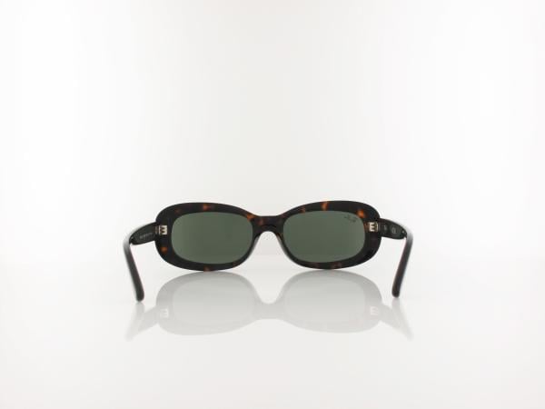 Ray Ban | RB2221 902/31 53 | havana / green