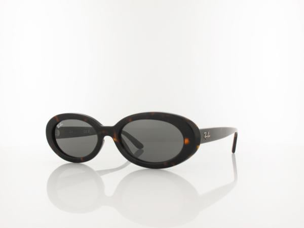 Ray Ban | RB2223 902/B1 54 | havana / dark grey