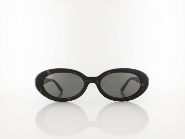 Ray Ban | RB2223 902/B1 54 | havana / dark grey