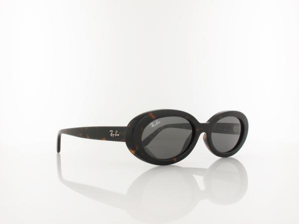 Ray Ban | RB2223 902/B1 54 | havana / dark grey