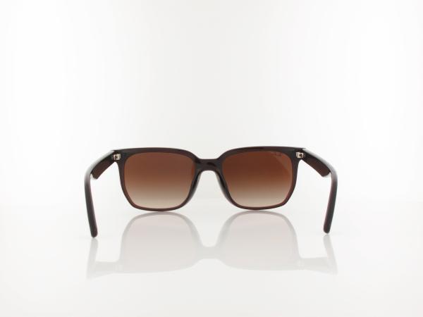 Ray Ban | RB4466D 714/13  | transparent dark brown / brown gradient