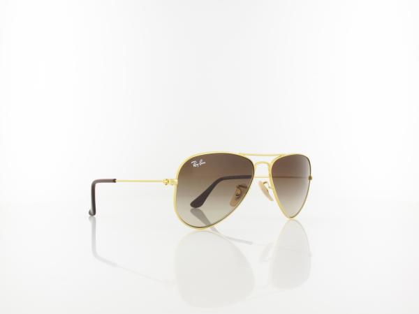 Ray Ban | RJ9506S KIDS 223/13 52 | gold / brown gradient
