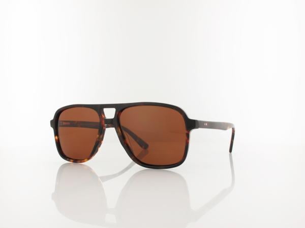 Brilando  | AC366 A-SB 56 | shiny turtle / brown