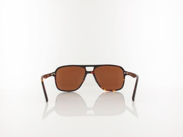 Brilando  | AC366 A-SB 56 | shiny turtle / brown