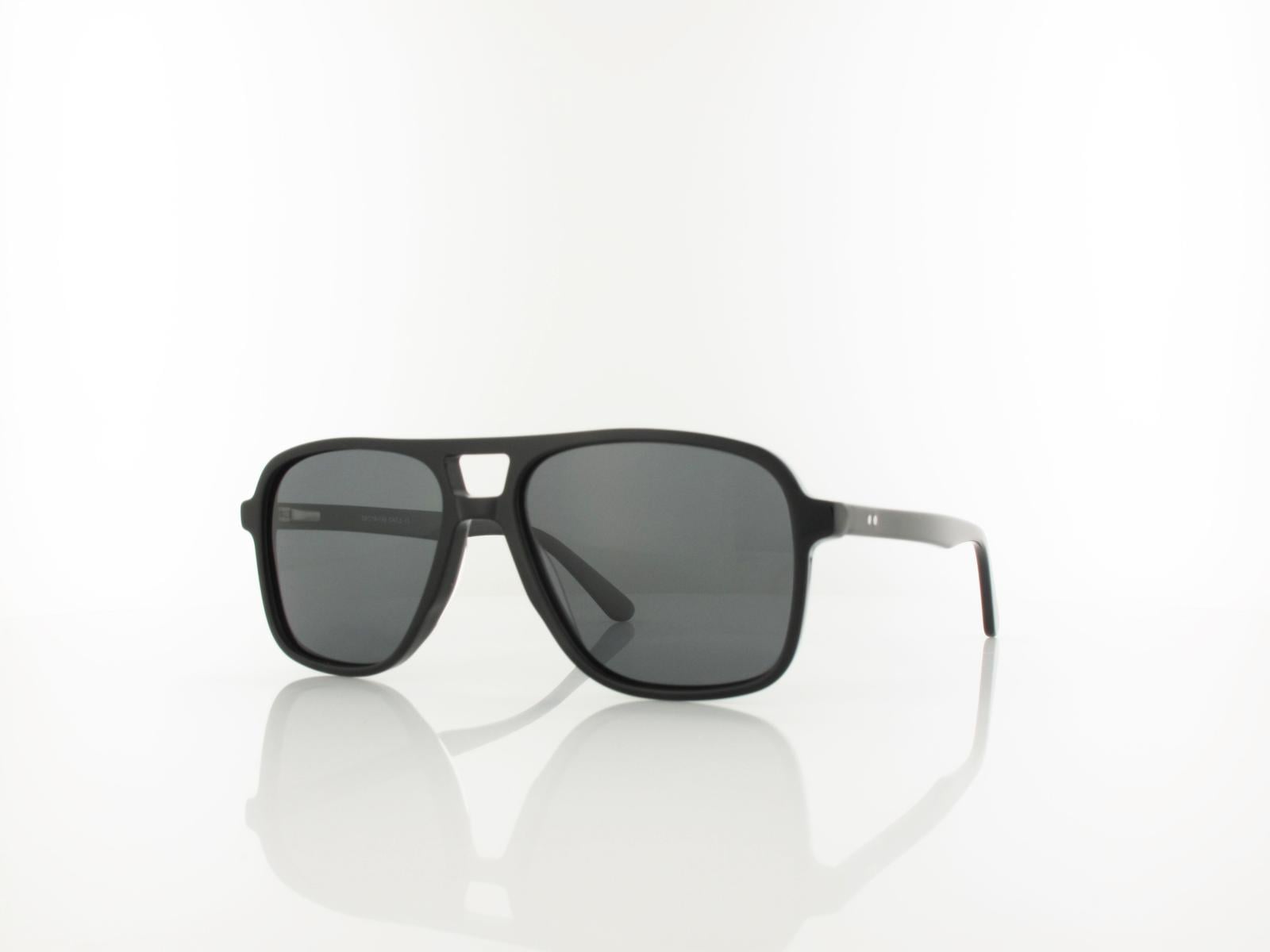Brilando  | AC366 SS 56 | shiny black / smoke