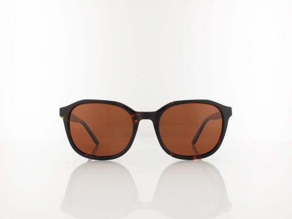 Brilando  | AC372 A-SB 54 | shiny turtle / brown polarized