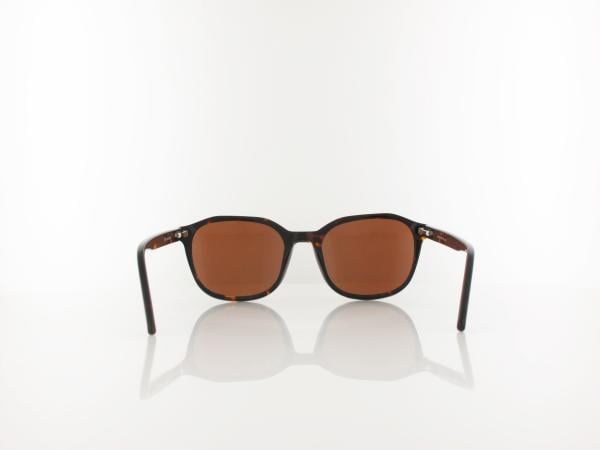 Brilando  | AC372 A-SB 54 | shiny turtle / brown polarized