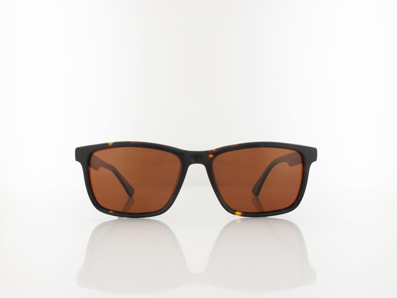 Brilando  | AC374 B-SB 57 | shiny turtle / brown polarized
