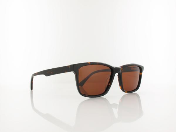 Brilando  | AC374 B-SB 57 | shiny turtle / brown polarized