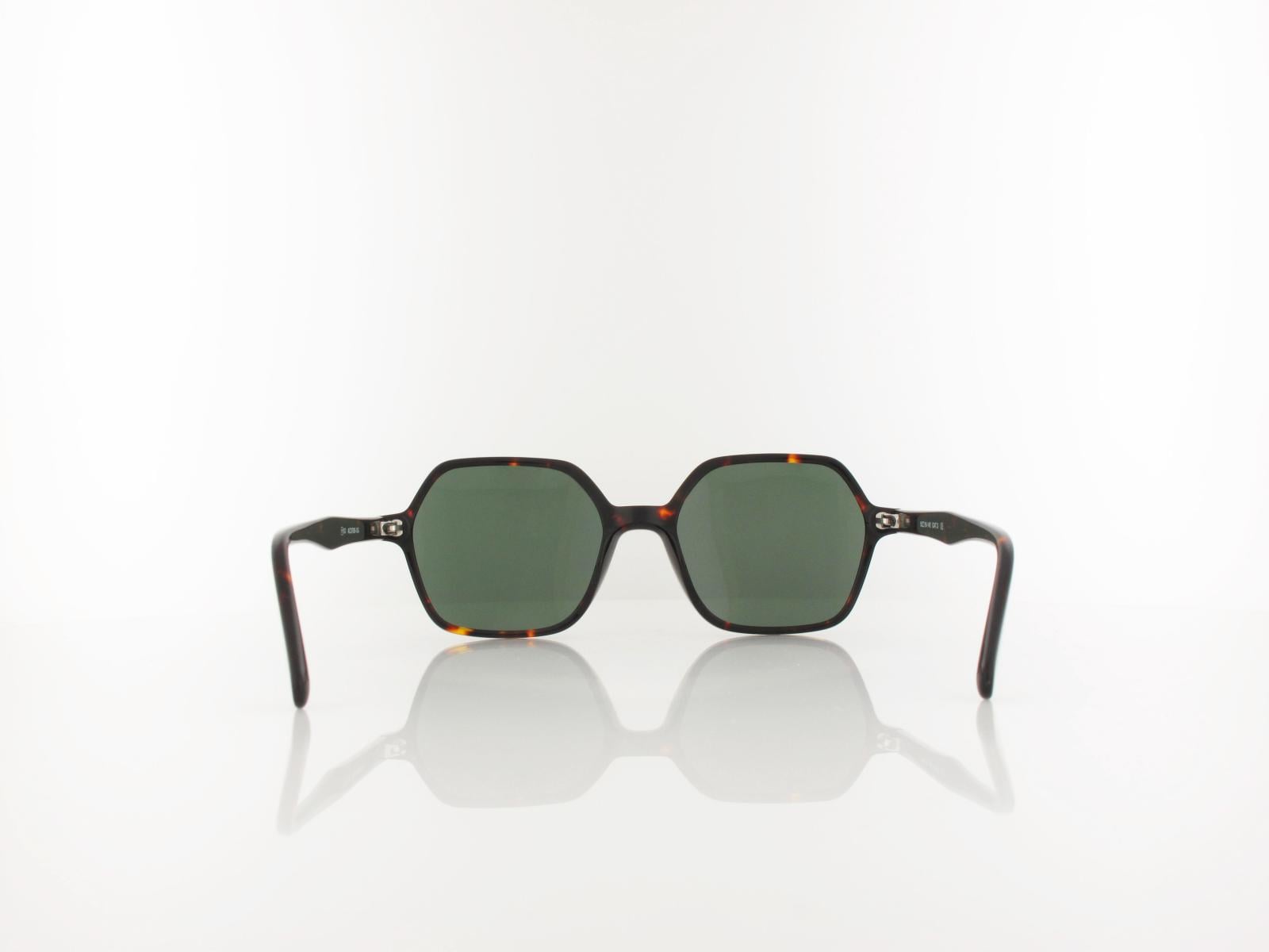Brilando  | AC378 B-SG 52 | turtle / green polarized