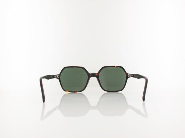 Brilando  | AC378 B-SG 52 | turtle / green polarized